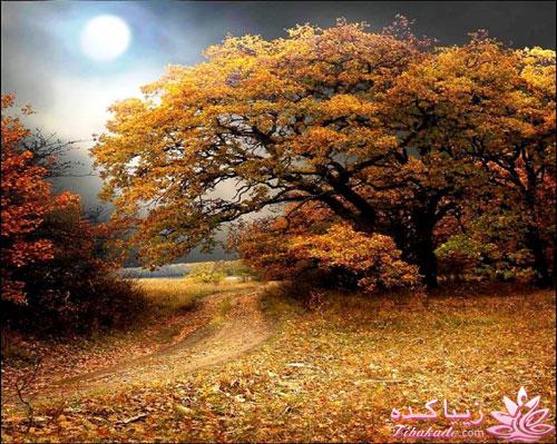 مکانهای دیدنی سایر کشورها